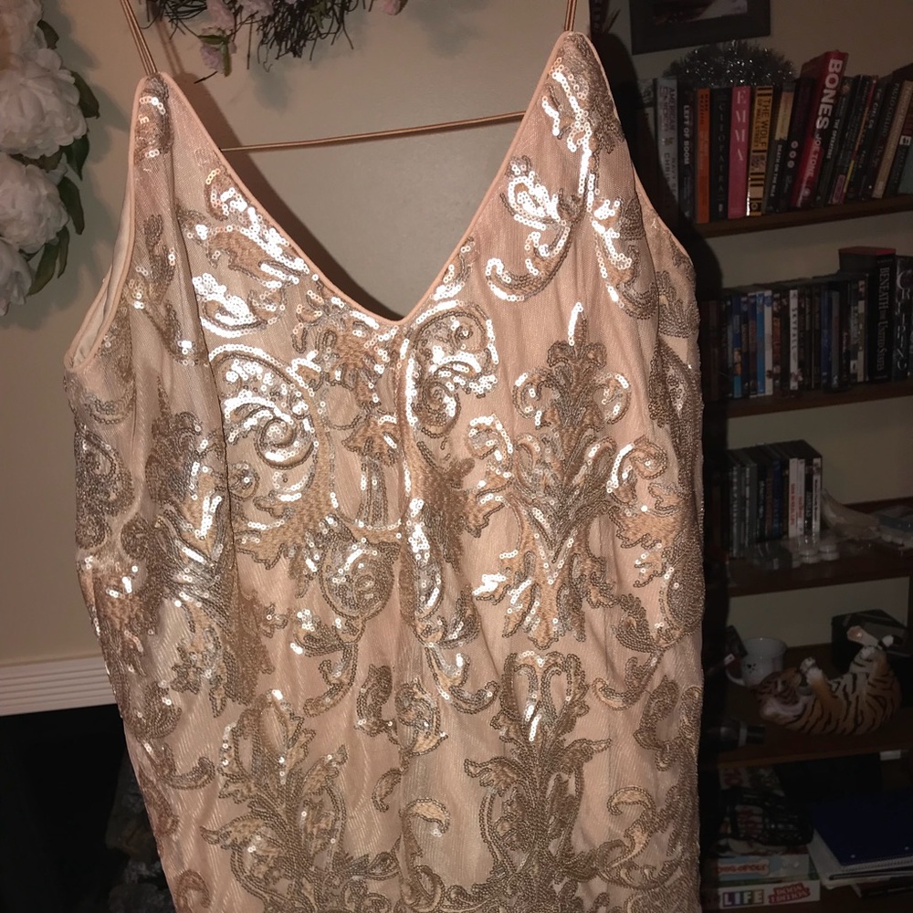Sparkly Tobi Dress